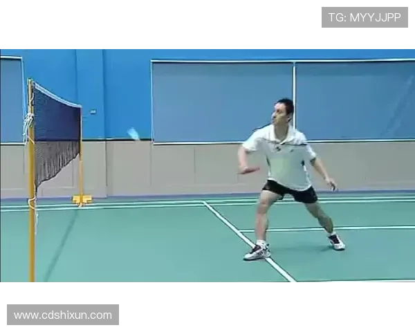 张娜独家分享羽毛球技巧与心得助你提升球技的全面指南 张娜独家分享羽毛球技巧与心得助你提升球技的全面指南