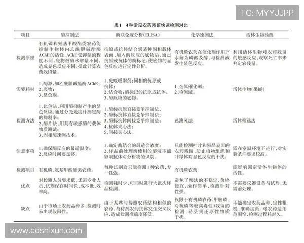 杭州网球队的包夹战术解析与实战应用探讨 杭州网球队的包夹战术解析与实战应用探讨