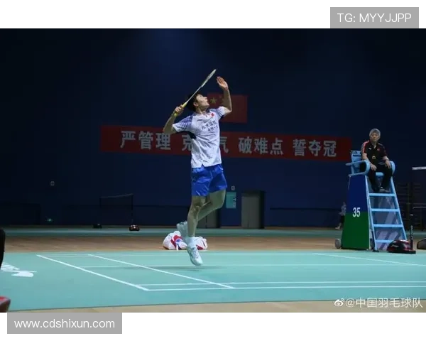 南京羽毛球队在阵地战中的得失分析与未来展望