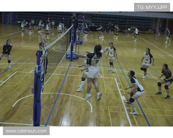 武汉排球队的个人能力揭秘：排球巨献背后的故事与训练秘诀