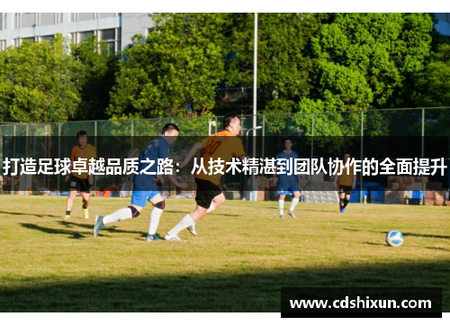 打造足球卓越品质之路：从技术精湛到团队协作的全面提升