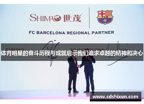 体育明星的奋斗历程与成就启示我们追求卓越的精神和决心